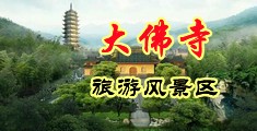 国模掰穴大尺度中国浙江-新昌大佛寺旅游风景区